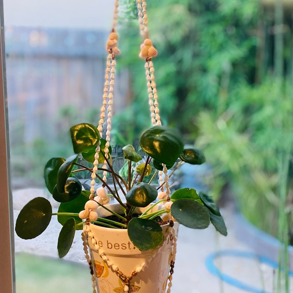 Handmade Seashell Plant Hanger
